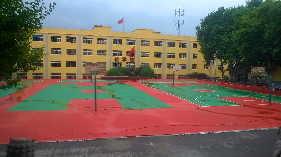 哈哈体育官方网站图片