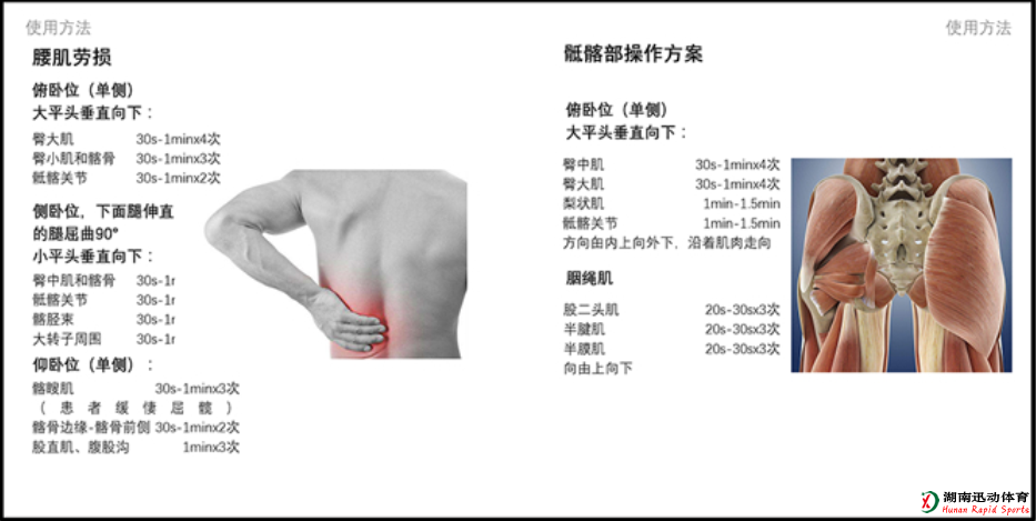 哈哈体育官方网站图片