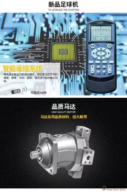 哈哈体育官方网站图片